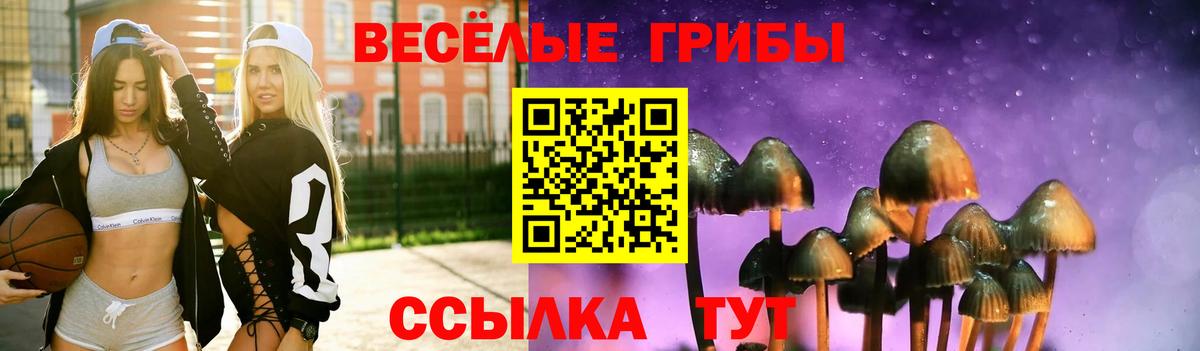 Белогорск  Галлюциногенные грибы Magic Shrooms  Вход с VPN 